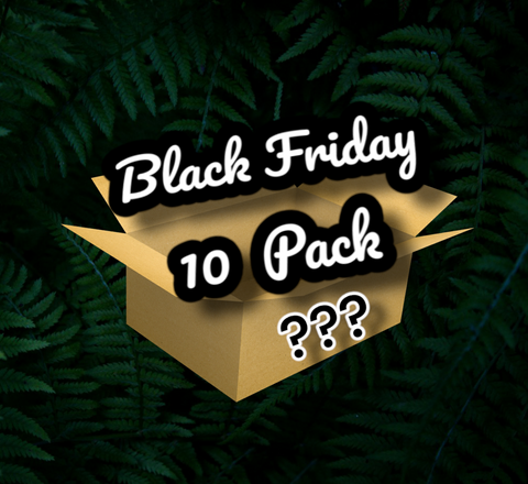 Black Friday 10 Pack