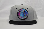 Supersonic Saucers Snapback